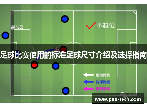 足球比赛使用的标准足球尺寸介绍及选择指南