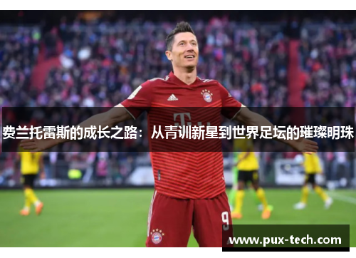 费兰托雷斯的成长之路：从青训新星到世界足坛的璀璨明珠
