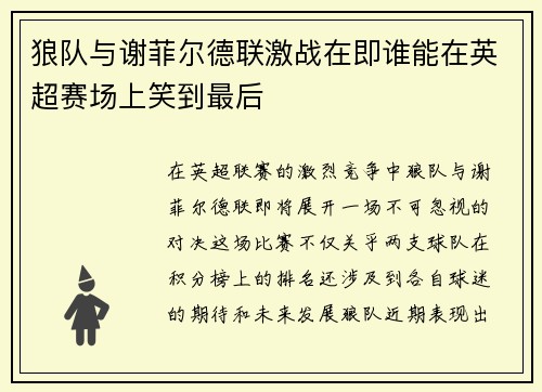 狼队与谢菲尔德联激战在即谁能在英超赛场上笑到最后